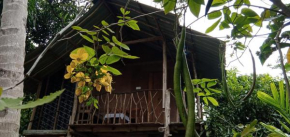 Sigiri Panaromic Tree House